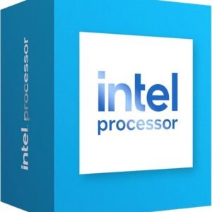 Intel 300